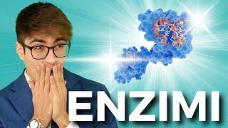 Gli ENZIMI in meno di 3 minuti | BIOLOGIA FACILE