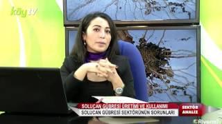 Köy Tv Riverm Solucan Gübresi Sektör Analiz | 28.12.2016