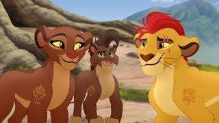 Lion Guard- Kion and Rani want to gather animals to prove Beshte isn't bad