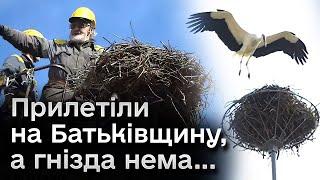 ️ Людям аж відлягло! Як відновили лелече гніздо, яке ОБВАЛИЛОСЯ перед їх поверненням