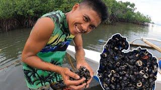 pangunguha ng Sihi Shell sa mga ugat ng bakhawan