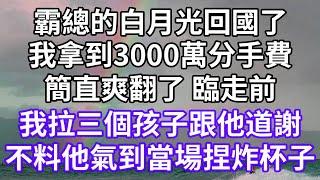 霸總的白月光回國了！我拿到3000萬分手費！簡直爽翻了 臨走前！我拉三個孩子跟他道謝！不料他氣到當場捏炸杯子！#為人處世 #幸福人生#為人處世 #生活經驗 #情感故事#以房养老#唯美频道 #婆