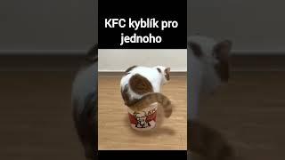 KFC a jejich kyblík pro jednoho #vtipy #vtip #humor #zábava