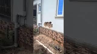 LISTEN TO WHAT HAPPENED TO HIS HOUSE