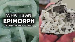 WHAT IS AN EPIMORPH?