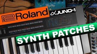 Roland Alpha Juno-1 Synthesizer Demo #2 New Patches