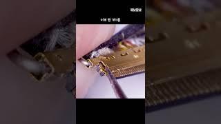 고장 난 i7-11세대 HP 노트북(470 g8)을 사서 조져봄..ㅠㅠ | 해낮달낮