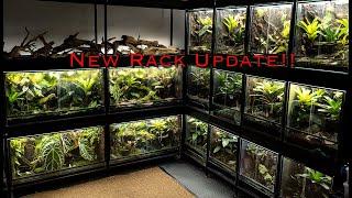 Custom Dart Frog Rack, and 300 Gallon Mini Update!!