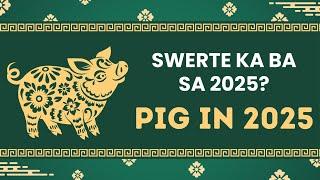 2025 YEAR OF THE PIG Kapalaran Forecast - Career, Health, Love at Wealth | SWERTE o MALAS?