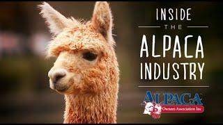 Inside the Alpaca Industry by Alpaca Owners Association, Inc.