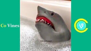 Try Not To Laugh Watching Shark Puppet Compilation | Funny Shark Puppet TikTok Videos