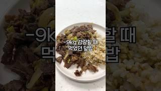 -9kg 감량할 때 먹었던 덮밥 #다이어트레시피 [댓글확인]