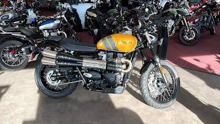 2024 Triumph Scrambler 900 walk around