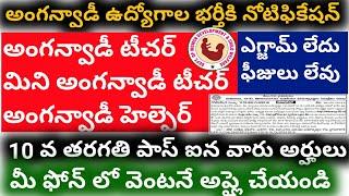 Anganwadi teacher, mini anganawdi teacher, anganwadi helper recruitment 2020 || Job updates telugu