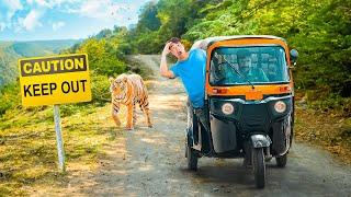 I Paid a TukTuk ₹10,000 To See Where It Takes Me