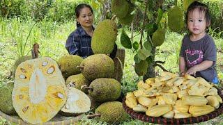 Harvest Agriculture ( Wild Canarium , jackfruit ,Taro..) Go to market sell - molasses making process