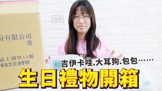 蕾蕾生日禮物開箱 吉伊卡哇.大耳狗.包包⋯⋯ [蕾蕾TV] [Lei Lei TV]