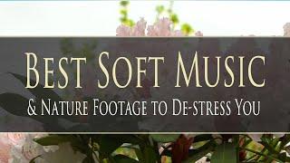 Anti-Stress Music   Best Calming Peaceful Music for Healing 