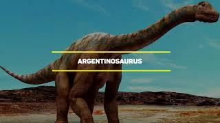 [TOP VIDEOKANAL] TOP 10 BIGGEST ANIMALS IN THE WORLD