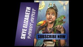 Subscribe to Skye Elizabeth - Parrot Artist!