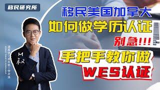 【出国教程篇】移民美国加拿大如何做学历认证？手把手教你做WES认证 | 留学&移民学历认证 #移民 #留学 #学历认证 #wes认证