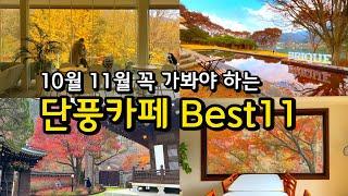 11월 가을에 반드시 가봐야 하는 단풍카페 Best 11 /3년간 직접가보고 추천하는 당일치기 국내여행 카페추천 /서울근교 경기도 가볼만한곳/단풍 정원카페/양평 남양주 파주