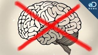 Can You Trust Your Memory?