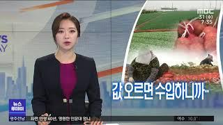 [뉴스투데이]양파 가격 하락.."밭떼기 거래 끊겼다"