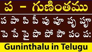 ప - గుణింతము | Pa Gunitham | how to write telugu Pa Guninthalu | Guninthalu in Telugu