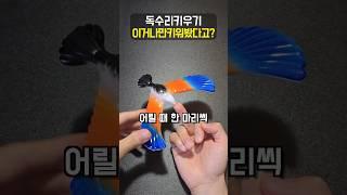 이 독수리 아는 조상님 계신가요? ㅋㅋㅋㅋㅋㅋㅋ