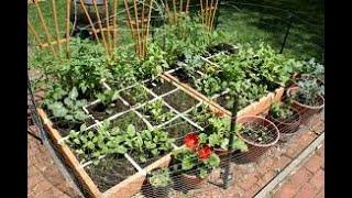 Square Foot Gardening Class