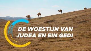 De Verkenners 53: De Woestijn van Judea en Ein Gedi