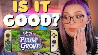 First Look at Echoes of the Plum Grove on Nintendo Switch! #gifted