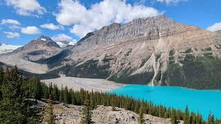 Stunningly Blue Peyto Lake in Banff National Park