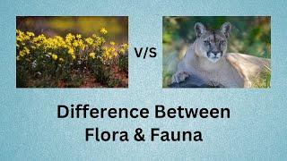 Difference Between Flora and Fauna | Forget Flora and Fauna: Here's Everything You Need to Know