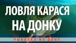 ЛОВЛЯ НА ДОНКУ КАРАСЯ НА ДОНСКОЙ РЫБАЛКЕ