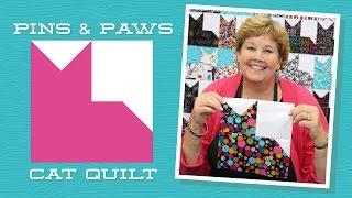 Make an Easy Pins & Paws Quilt with Jenny Doan of Missouri Star (Video Tutorial)