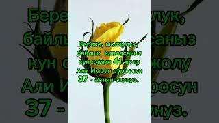 Байлык, молчулук, берекет каалаган кишилер#ислам#куран#аят#хадис