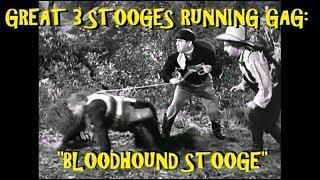 Great 3 Stooges Running Gag: "Bloodhound Stooge"