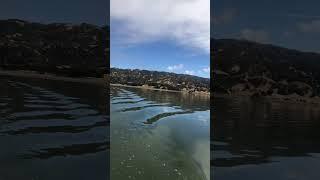 Mendocino lake Northern CA bass fishing KAYAK - NK180PRO  - OLDTOWN 106 PDL #therapy #Bluemind