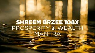 Shreem Brzee Mantra 108x | Prosperity, Wealth & Abundance