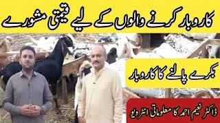 Bakra Farming Business |How to Start Goat Farming |Goat Farming Business Plan in Pakistan