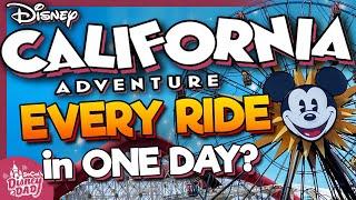 Can We Ride EVERY RIDE at Disney California Adventure in ONE DAY in 2025!?