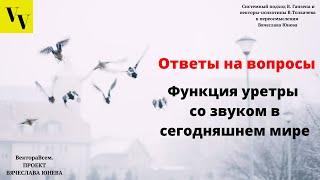 Функция уретры со звуком в сегодняшнем мире. ВектораВсем. Проект Вячеслава Юнева