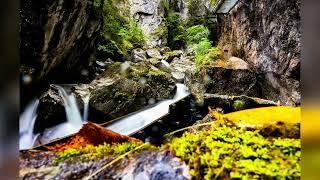 So sieht es in der Pöllatschlucht in Schwangau aktuell aus