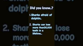 Did you know about shark..     #shark #sharkvideos