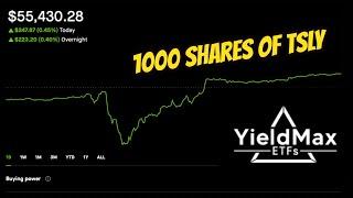 How Much TSLY Paid on 1000 Shares / Dividend Portfolio