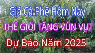 giá cà phê hôm nay giá thế giới vụt tăng và dự báo giá cà phê năm 2025