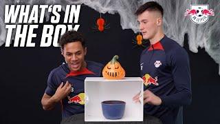 WHAT'S IN THE BOX!? | Sesko x Carvalho - Special Edition