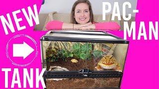 Pacman Frog Tank Upgrade & Setup